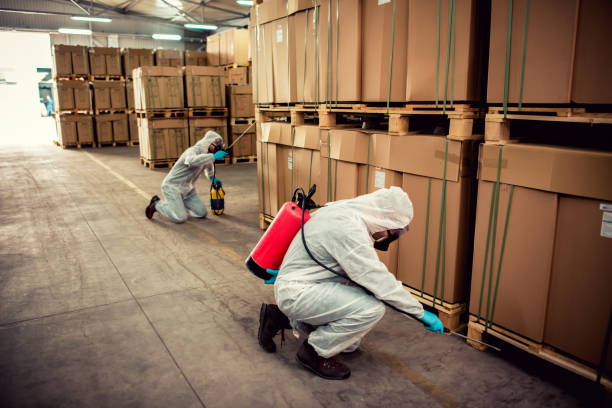Best Local Pest Control Services  in Silver Lakes, CA
