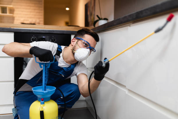 Best Pest Inspection Near Me  in Silver Lakes, CA