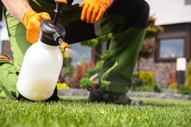Best Commercial Pest Control Services  in Silver Lakes, CA