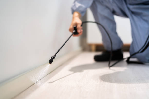 Silver Lakes, CA Pest Control Company