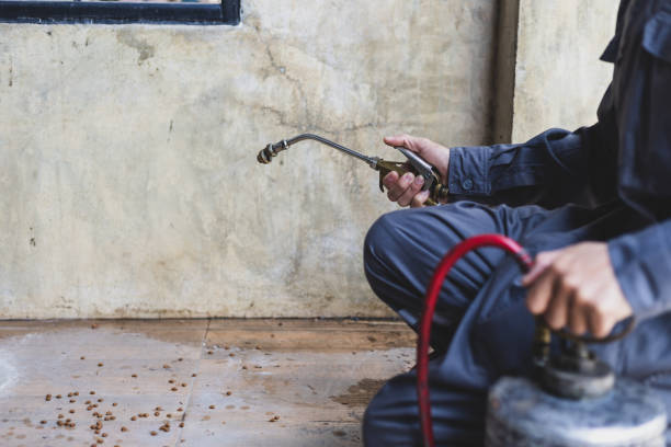 Best Affordable Pest Control Services  in Silver Lakes, CA